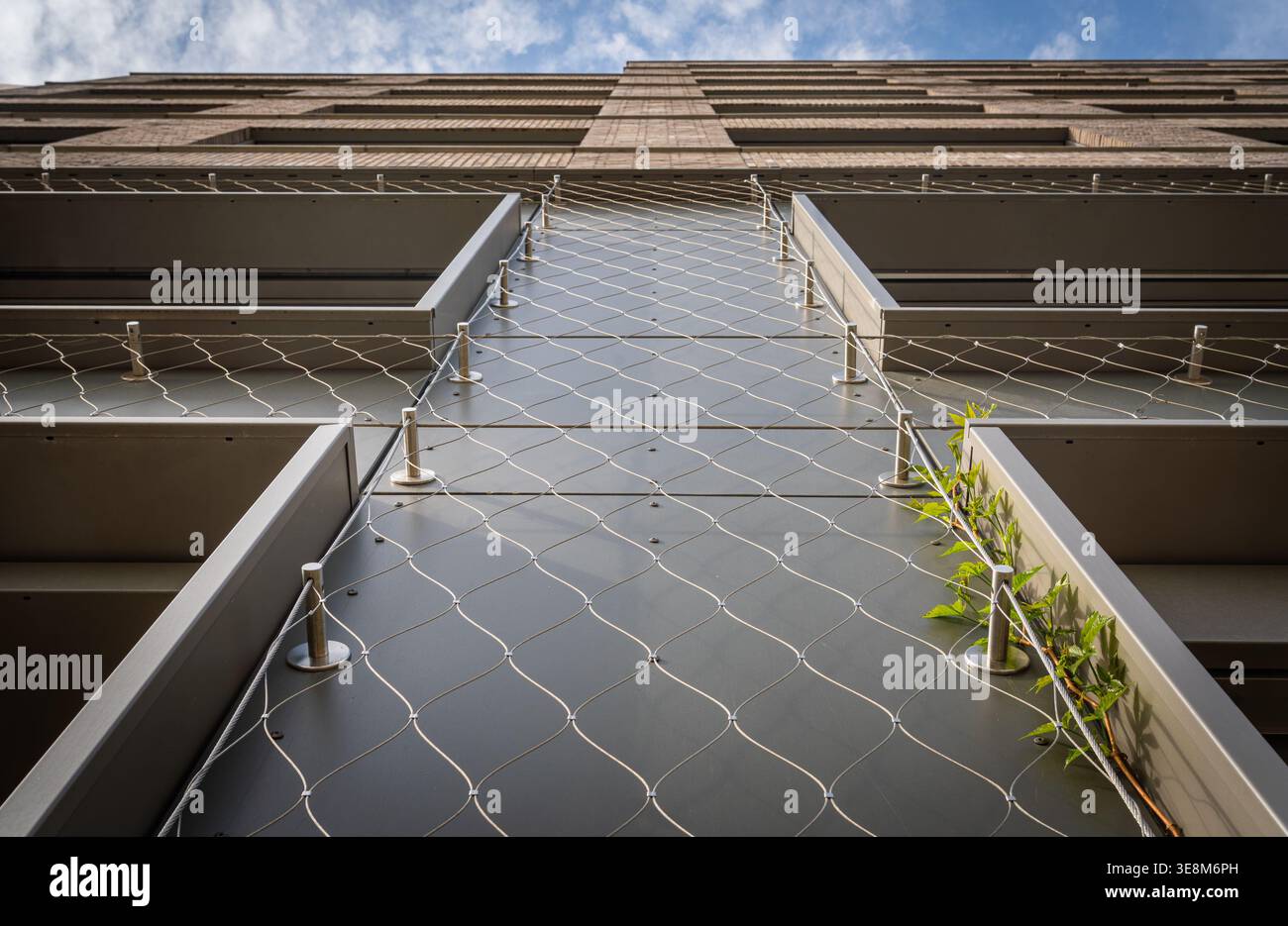 Façade verte avec treillis métallique et plantes grimpantes sur l'extérieur de la maison moderne favorisant un design urbain durable Banque D'Images