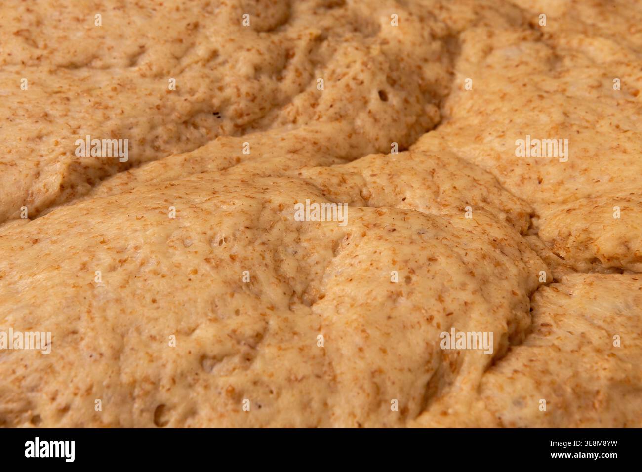 Gros plan de la pâte à pain avec du son ajouté prêt pour la mise en forme et la cuisson. Vue d'angle. Banque D'Images
