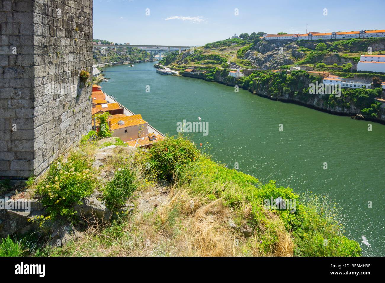 Vue aérienne sur le fleuve Douro serpentant à travers la ville, bordée d'anciens murs de pierre et d'une végétation luxuriante, révélant le pont Dom Luís I dans le dis Banque D'Images