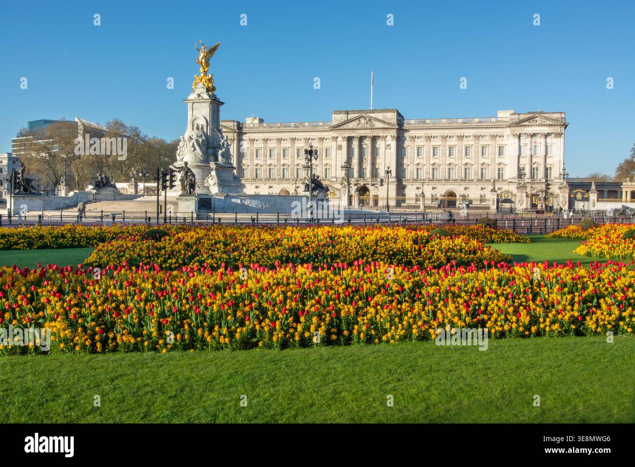 Palais de Buckingham et exposition de tulipes printanières, Londres, Angleterre, printemps. Parterres de fleurs formelles Banque D'Images