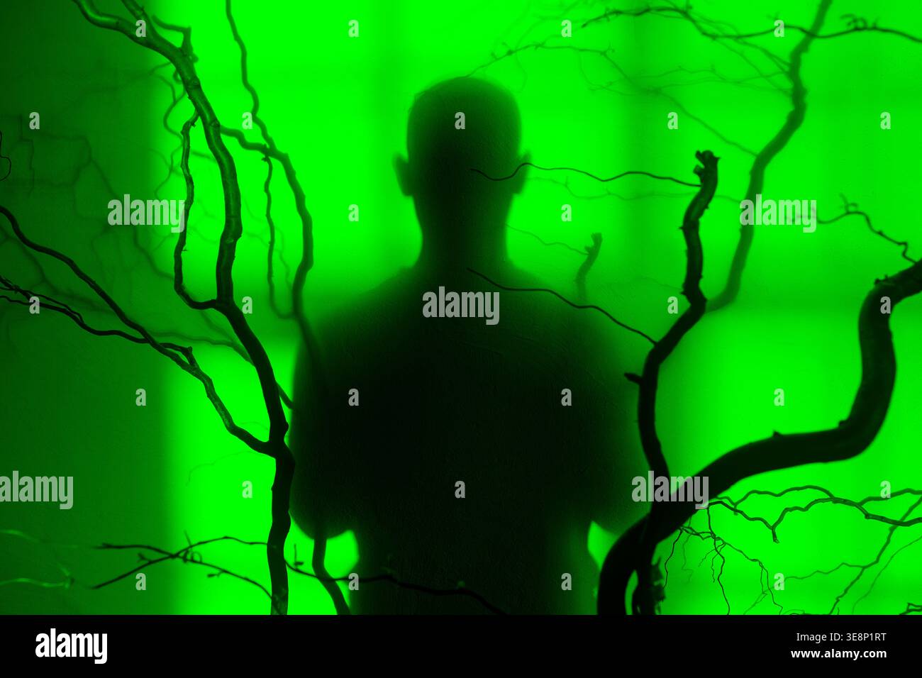 Silhouette étrange d'une figure humaine debout derrière des branches enchevêtrées et sans feuilles sur un fond vert fluo éclatant et éclatant. Banque D'Images