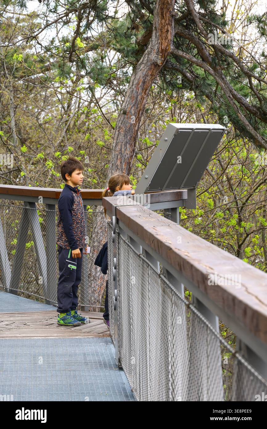 Les enfants debout ensemble sur une passerelle en bois surélevée dans un environnement forestier, lisant un panneau d'information tout en étant entourés par le feuillage de printemps et Banque D'Images