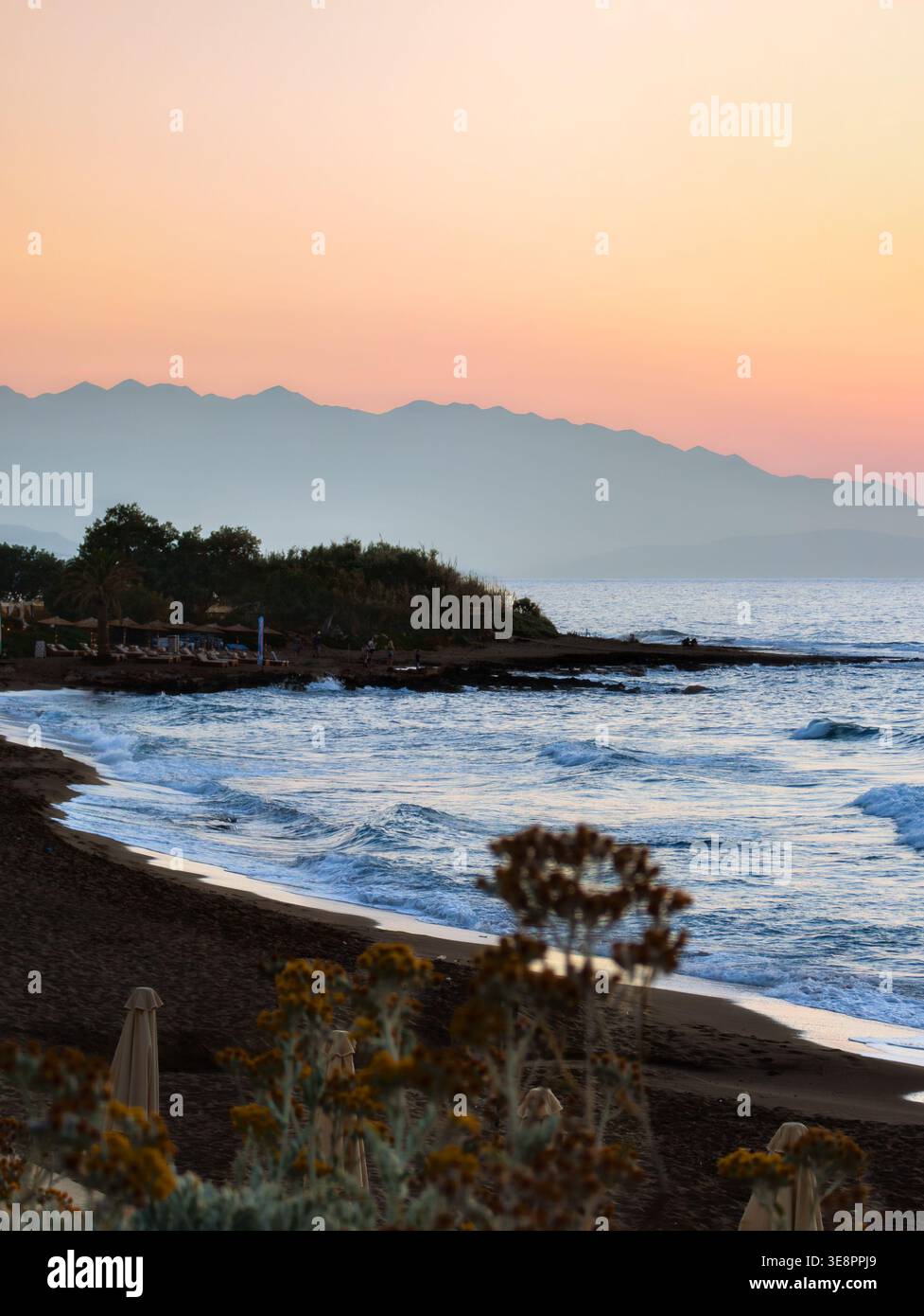 Plage au coucher du soleil avec des montagnes en arrière-plan et des fleurs jaunes en premier plan - Image de stock capturée avec un smartphone