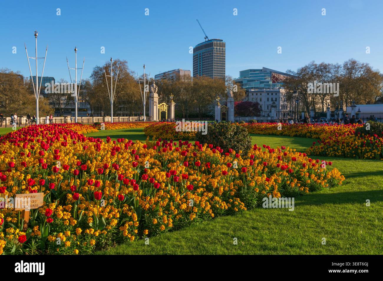 Buckingham Palace parterres de fleurs, tulipes de printemps, par une belle soirée de printemps chaude et ensoleillée, Londres, Springtime, Angleterre, Royaume-Uni. Parterres de fleurs formelles Banque D'Images