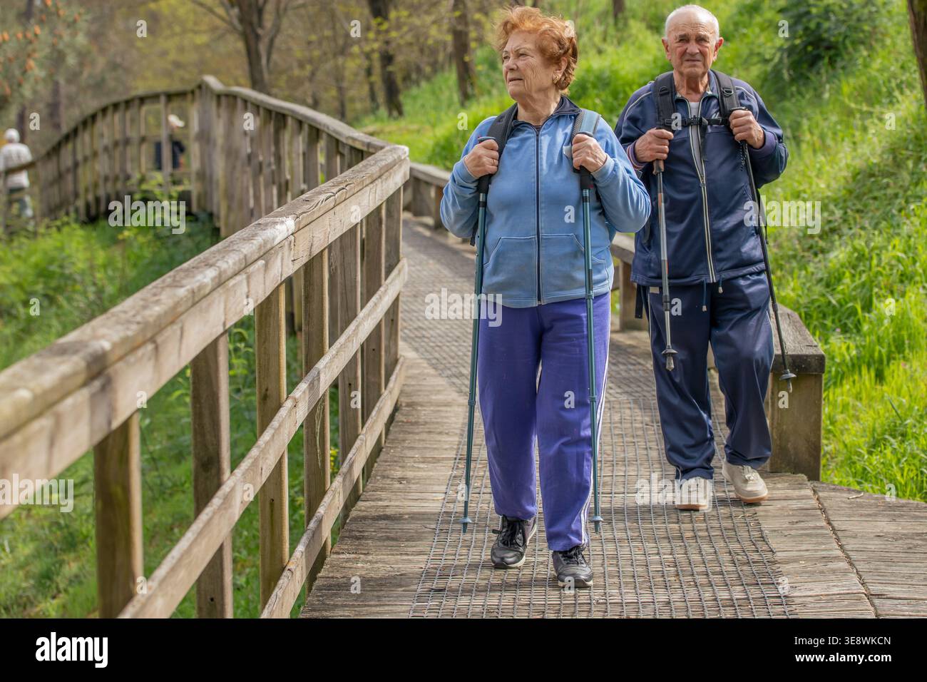 Couple senior randonnée à travers un sentier de montagne pittoresque par une journée ensoleillée. Homme âgé actif et femme marchant avec des bâtons de trekking parmi la forêt d'automne, enj Banque D'Images
