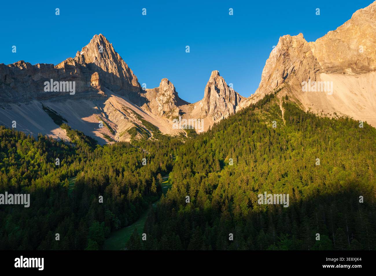 Vue aérienne de la Jarjatte dans le massif de la Devoluy, Drôme, France, avec des sommets calcaires, et forêt de conifères. Vallée alpine dans les Alpes françaises Banque D'Images