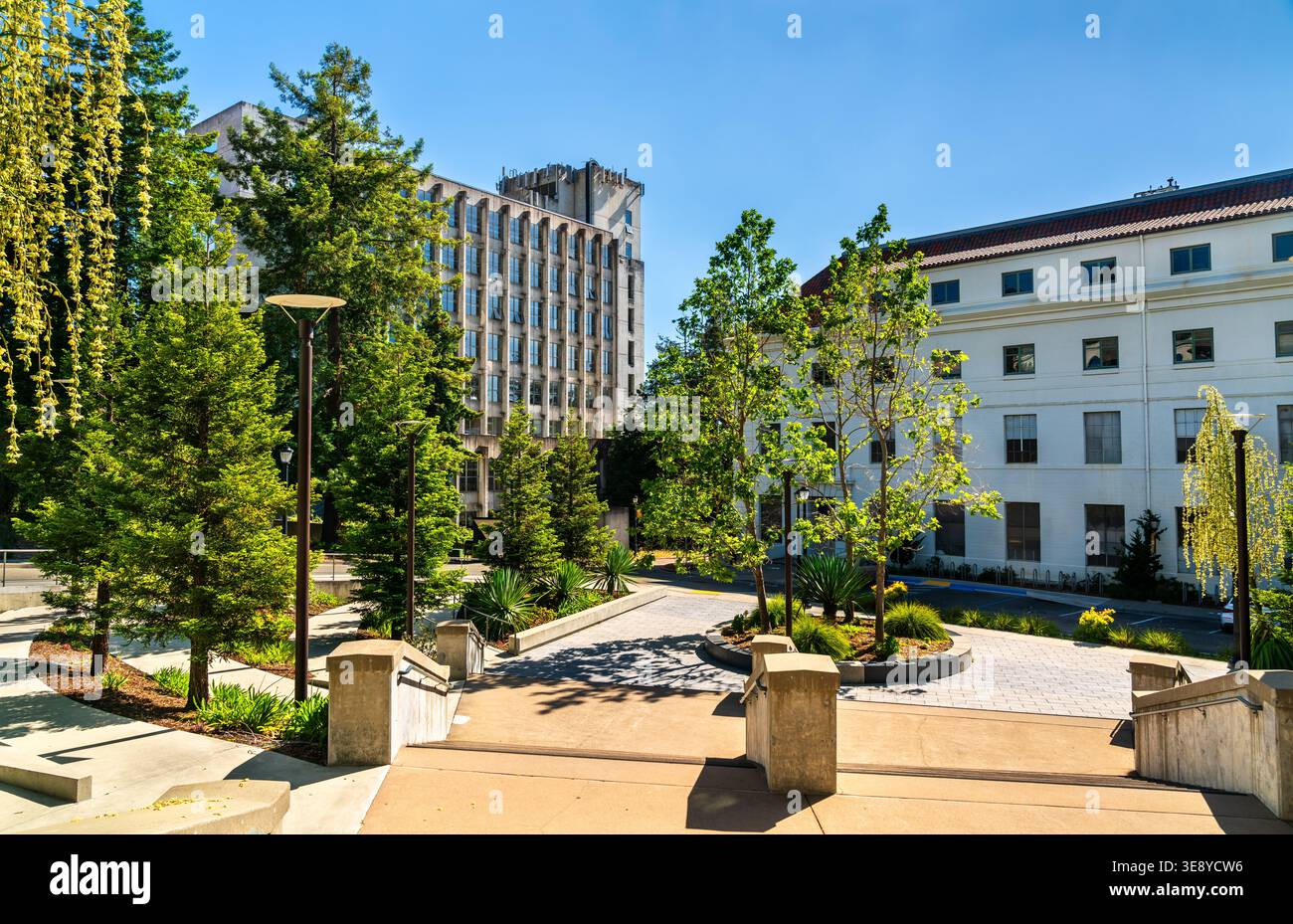 Architecture du campus entouré d'arbres verts à l'Université de Californie Berkeley dans la baie de San Francisco, Californie Banque D'Images