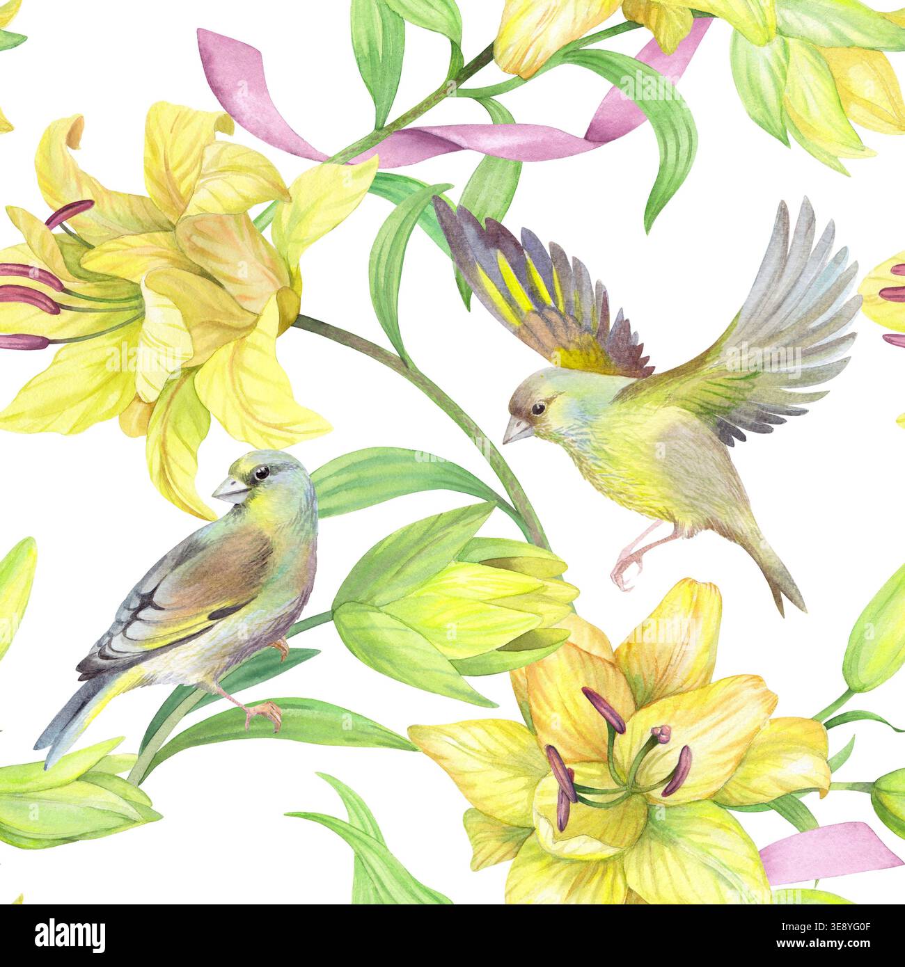 Motif sans couture des lis jaunes avec ruban rose et oiseaux. Illustration d'aquarelle faite à la main. Pour la conception d'emballage, les cartes, la couverture, les impressions Banque D'Images