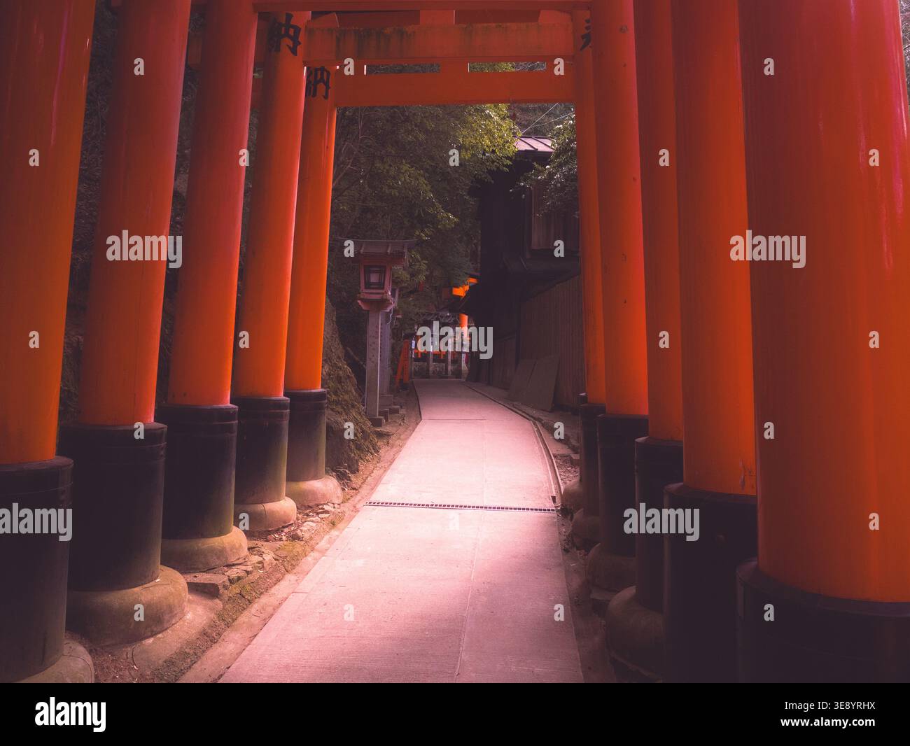 Sanctuaire Fushimi Inari avec chemin de portes torii rouges à Kyoto, Japon Banque D'Images
