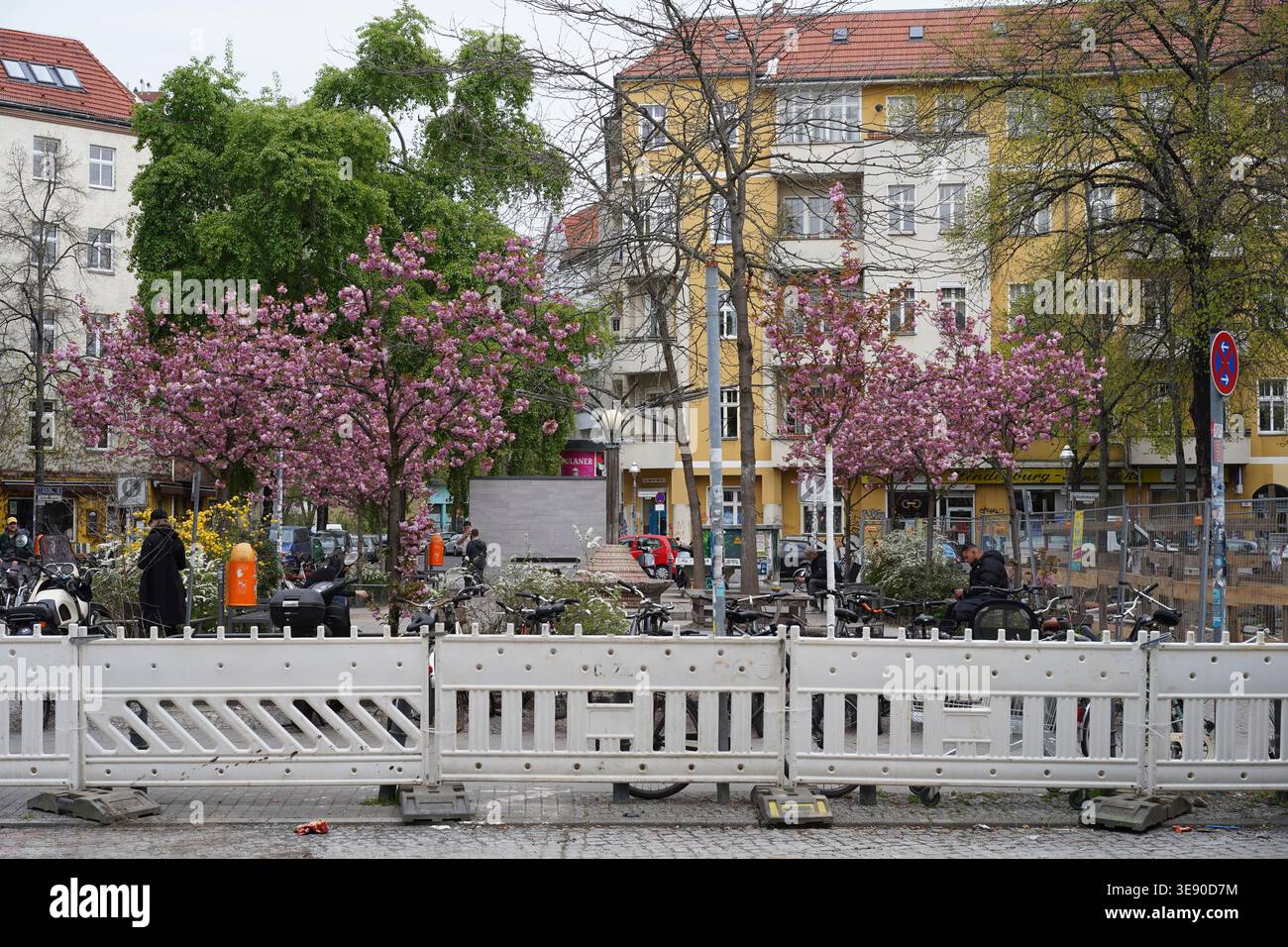 Berlin, Allemagne - 16 avril 2026 : les gens se détendent sous des cerisiers en fleurs derrière une barrière de construction à Böhmischer Platz, Rixdorf. Banque D'Images