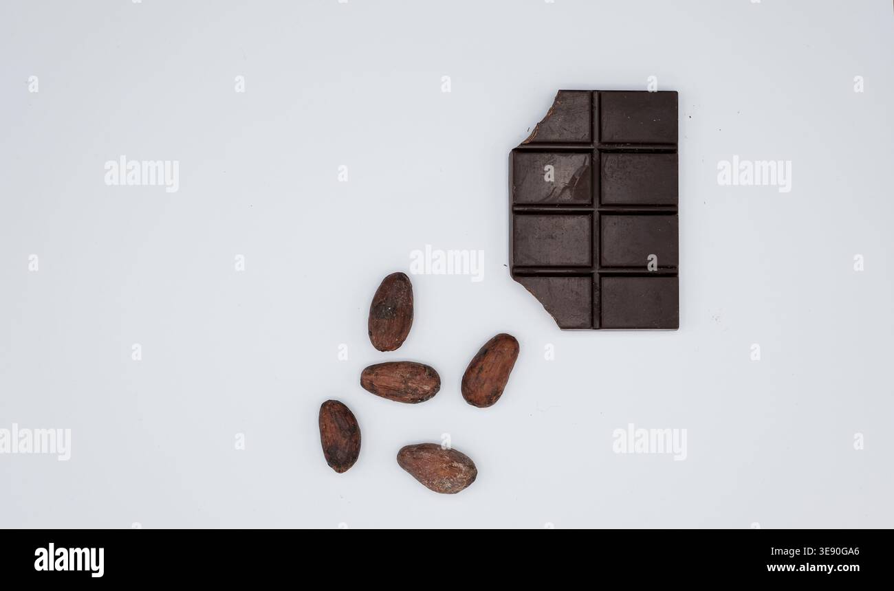 Mordez la mini barre de dégustation de chocolat et les fèves de cacao sur un fond blanc. Minimalisme. Vue de dessus. Copier l'espace. Banque D'Images