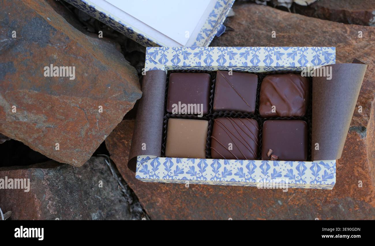 Six pralines dans une boîte sur une surface de pierre. Chocolat artisanal Bean to Bar avec emballage écologique. Assortiment varié de bonbons au praliné au chocolat. Banque D'Images