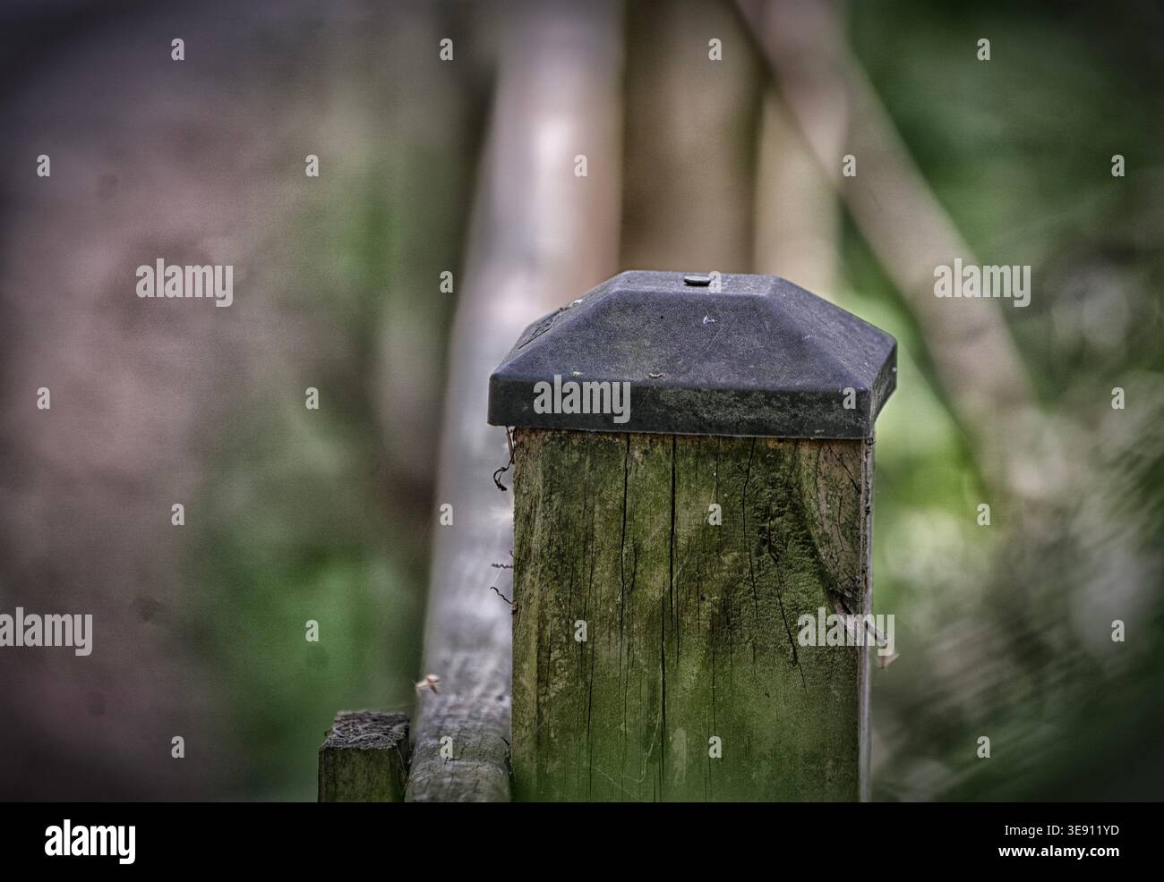 Poster le dessus sur un pont en bois Banque D'Images