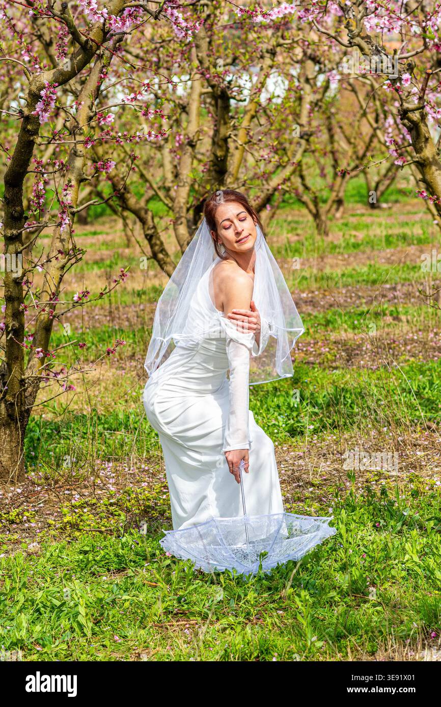Mariée posant dans le verger au printemps avec parapluie Banque D'Images