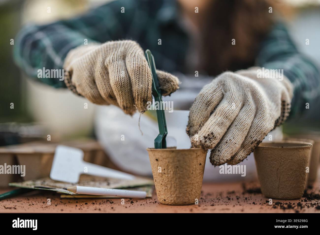 Les mains du jardinier dans des gants de protection à l'aide d'un petit outil pour planter des plants biologiques dans des pots biodégradables écologiques, préparant la croissance printanière Banque D'Images
