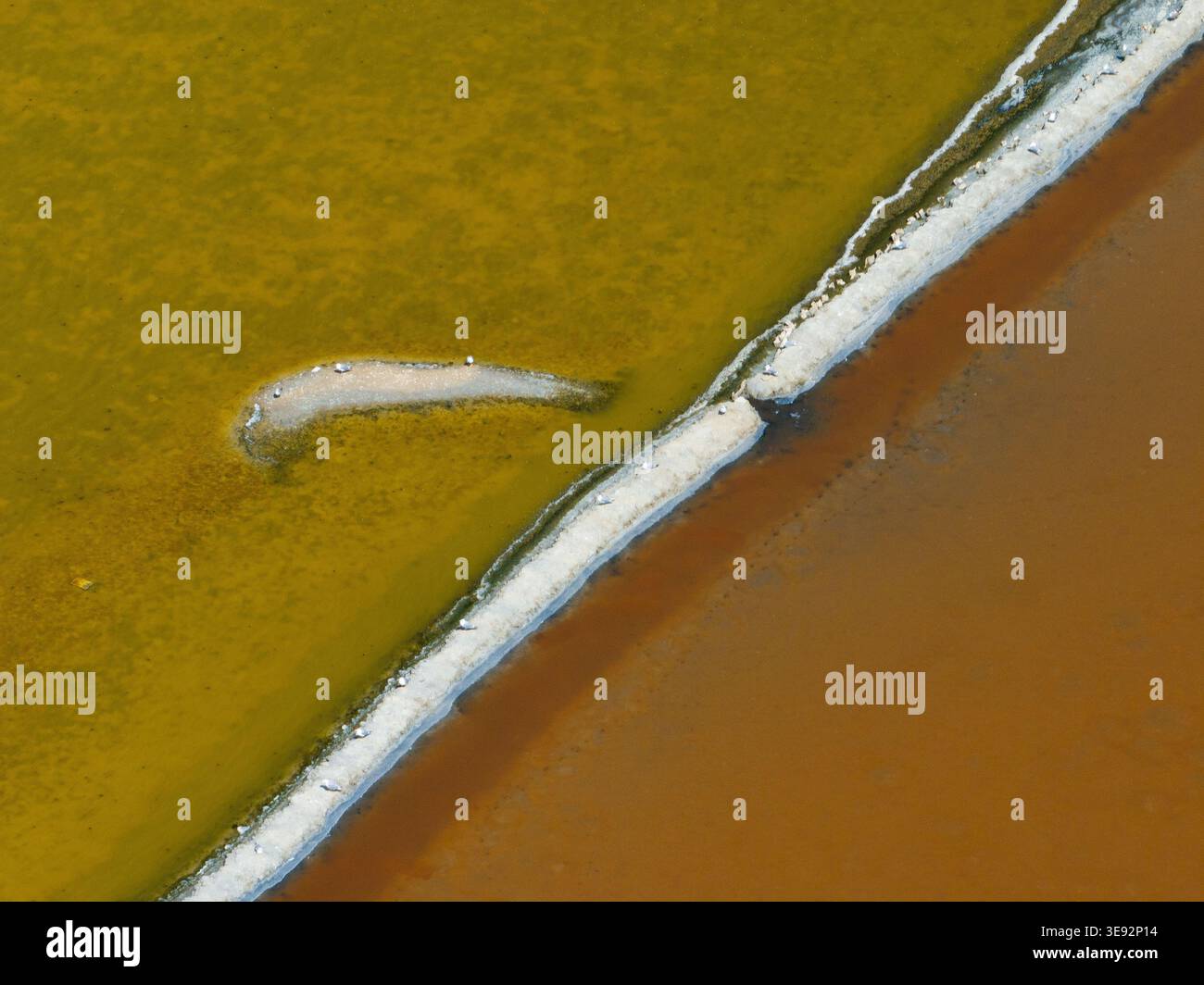 Vue aérienne des marais salants vibrants avec des eaux contrastées vertes et brun rougeâtre divisées par des croûtes de sel blanc à Marsala, Sicile, Italie. Banque D'Images