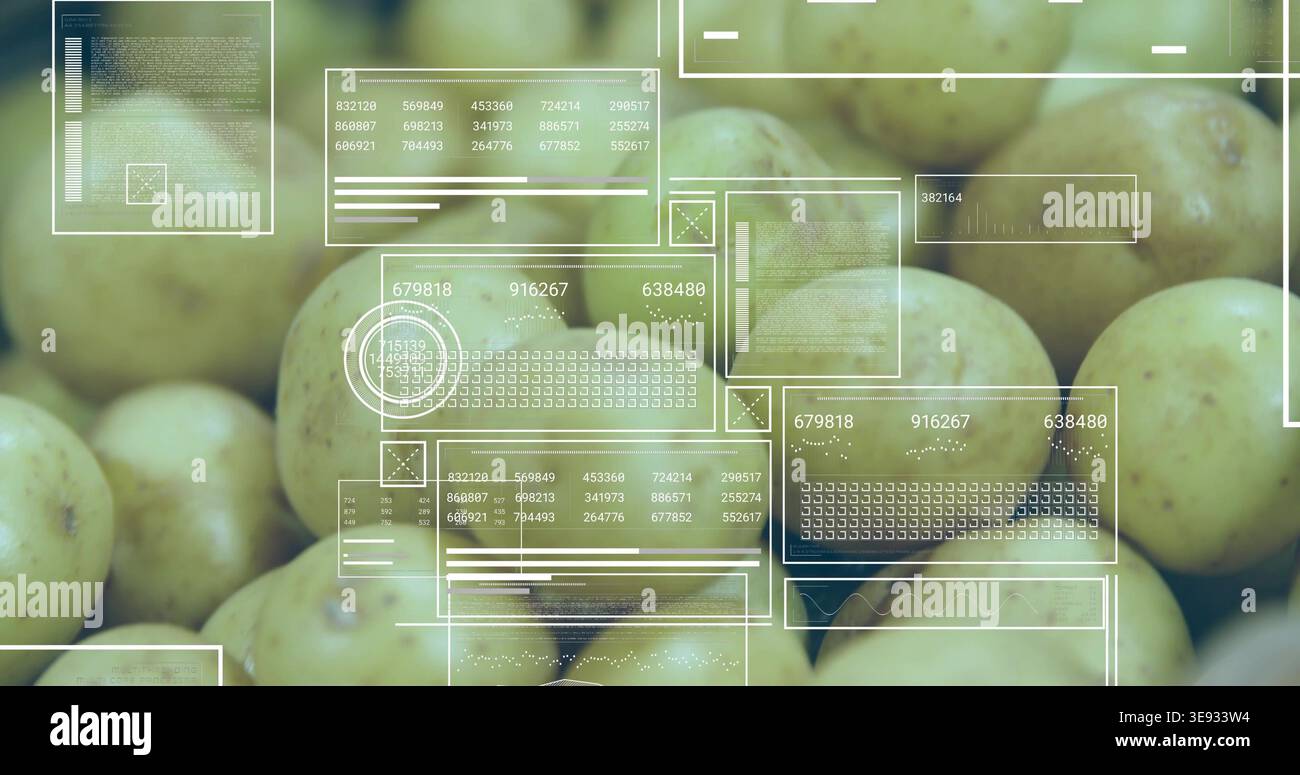 Affichage des pommes de terre jaune-vert pâle sur une surface plane, affichage des panneaux HUD transparents et des affichages Banque D'Images