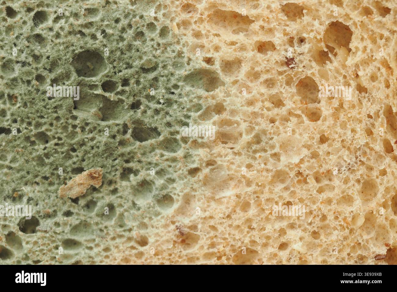 Croissance de moisissure sur le pain au fil du temps dans un cadre de cuisine Banque D'Images