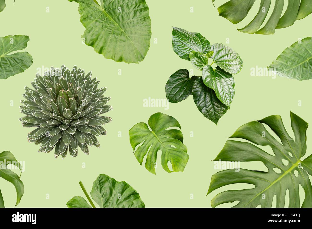 Ce motif sans couture présente diverses feuilles vertes disposées sur un fond vert clair. La conception montre différentes formes et textures de naturel Banque D'Images