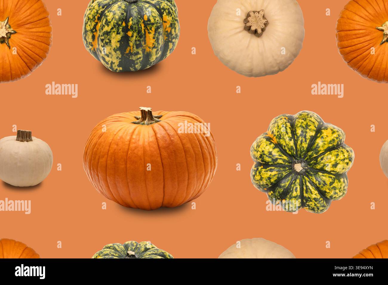 Différentes citrouilles sont disposées dans un motif répétitif sur un fond orange. Ce modèle convient aux thèmes d'automne, à l'artisanat et aux projets de décoration Banque D'Images