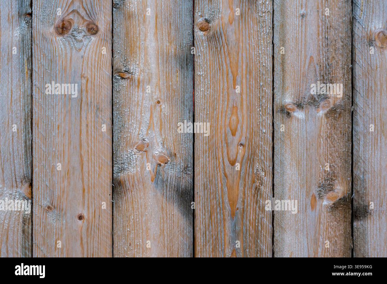 texture de vieux bois altérée Banque D'Images