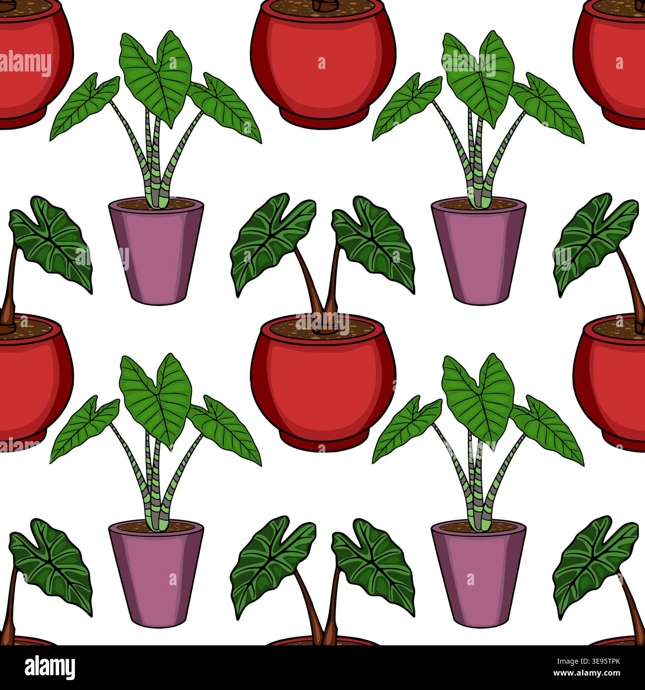 Motif vectoriel sans couture de plantes d'alocasia en pot avec des feuilles vertes vibrantes et des pots rouges et violets. Illustration de Vecteur
