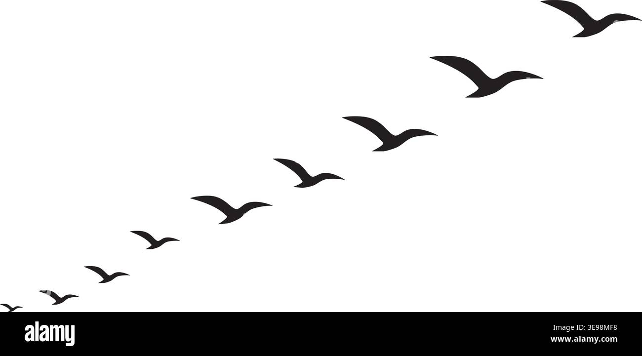 Essaim d'oiseaux volant en formation, silhouette isolée sur fond blanc Illustration de Vecteur