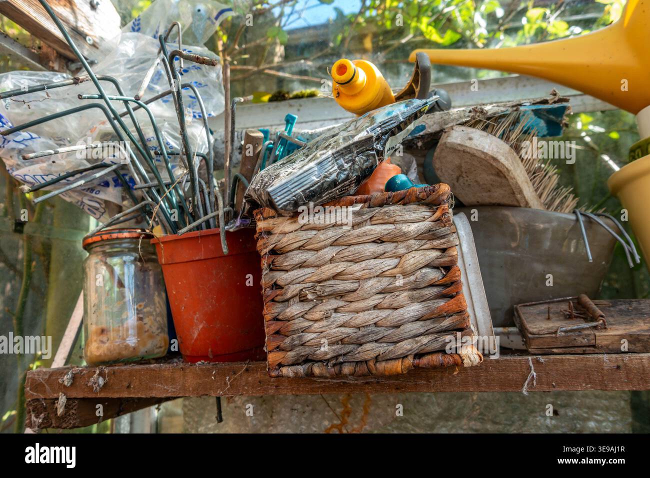 Divers articles liés au jardin stockés sur une étagère dans une serre. Banque D'Images