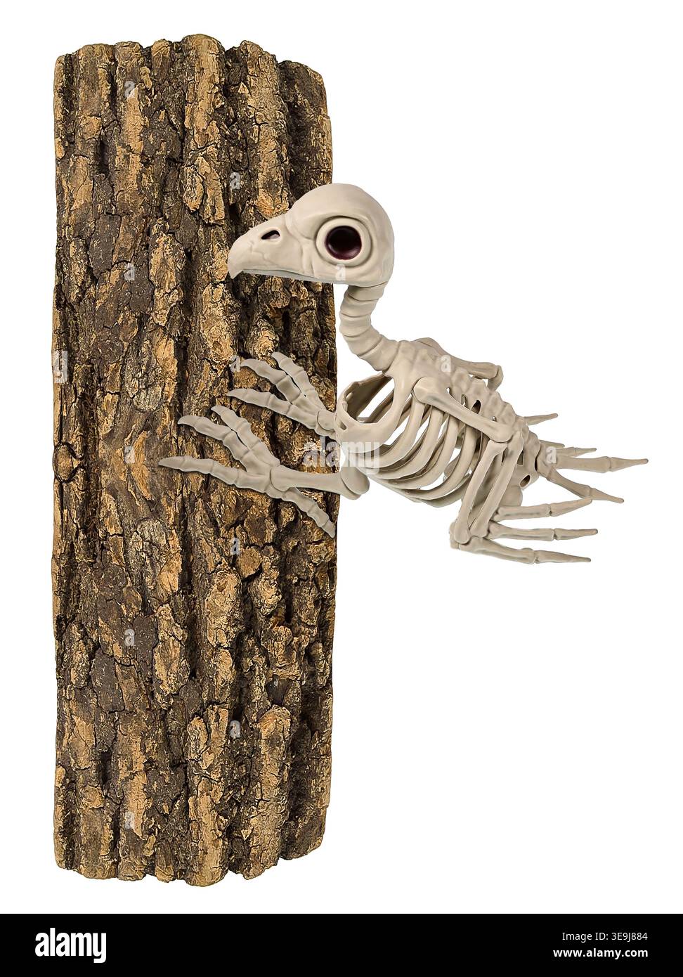 Le squelette de l'oiseau bleu du bonheur sur un arbre montre que vous êtes peut-être trop tard Banque D'Images