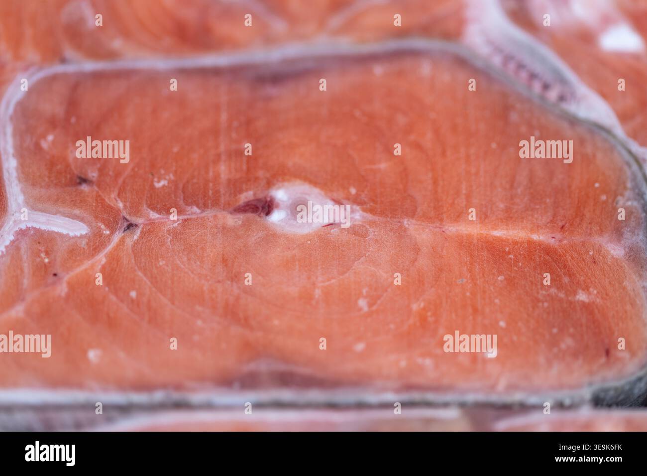 Approvisionnement durable en saumon congelé pour les marchés des indices d'emballage écosystémiques, traçabilité et implication de la certification de la pêche, narration cultivable Banque D'Images