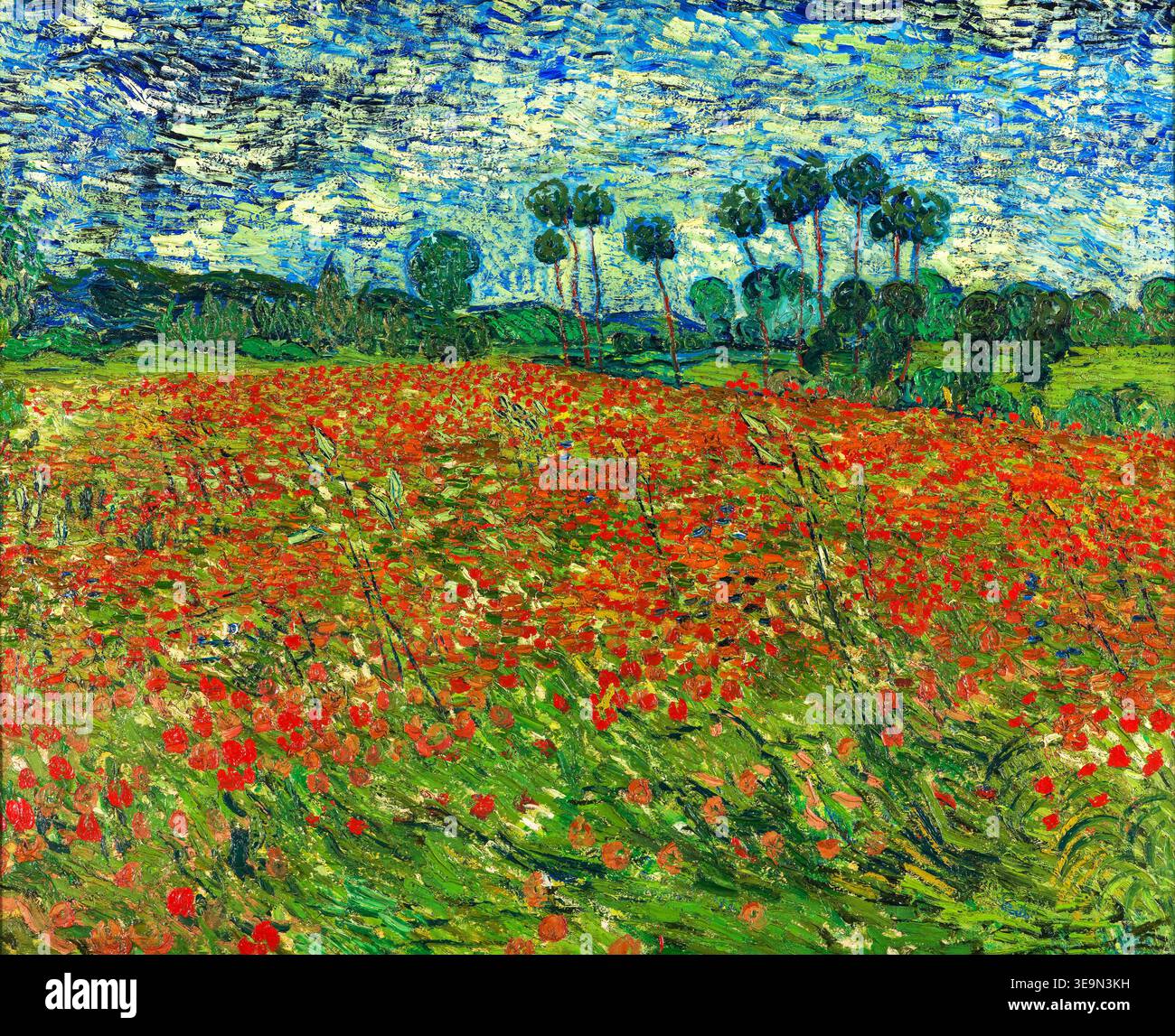 Champ de coquelicots Vincent van Gogh Banque D'Images