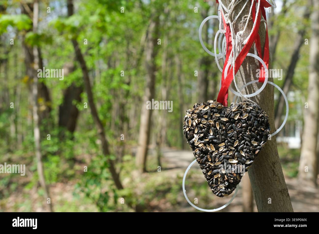 Mangeoire d'oiseaux en forme de coeur faite de graines est suspendu sur un tronc d'arbre dans un environnement forestier Banque D'Images