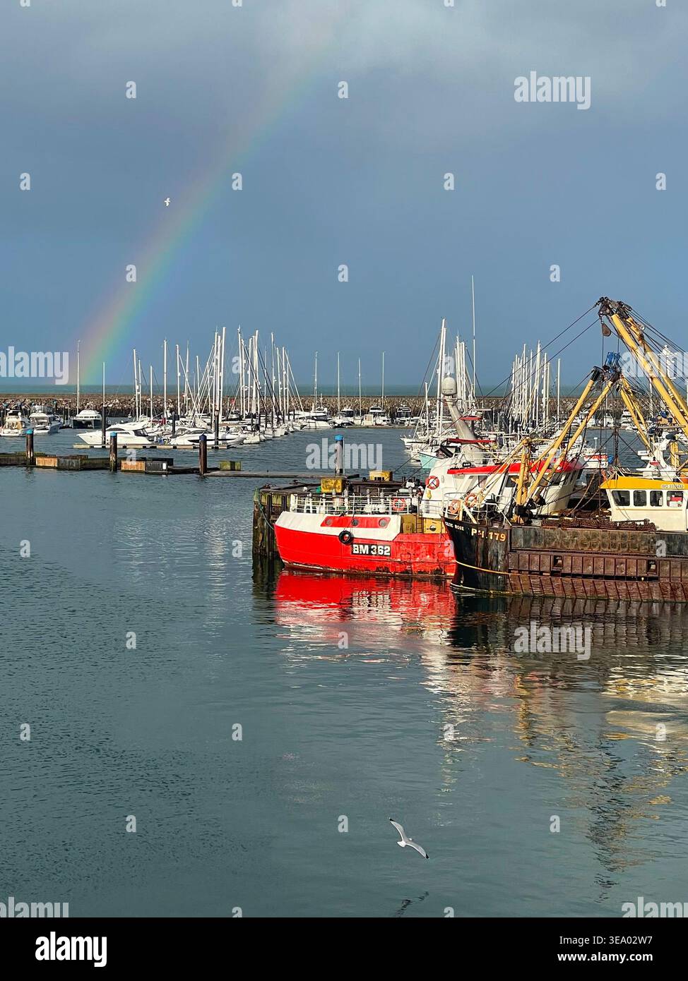 Le port de travail dans la pittoresque ville balnéaire de Brixham, Devon Banque D'Images