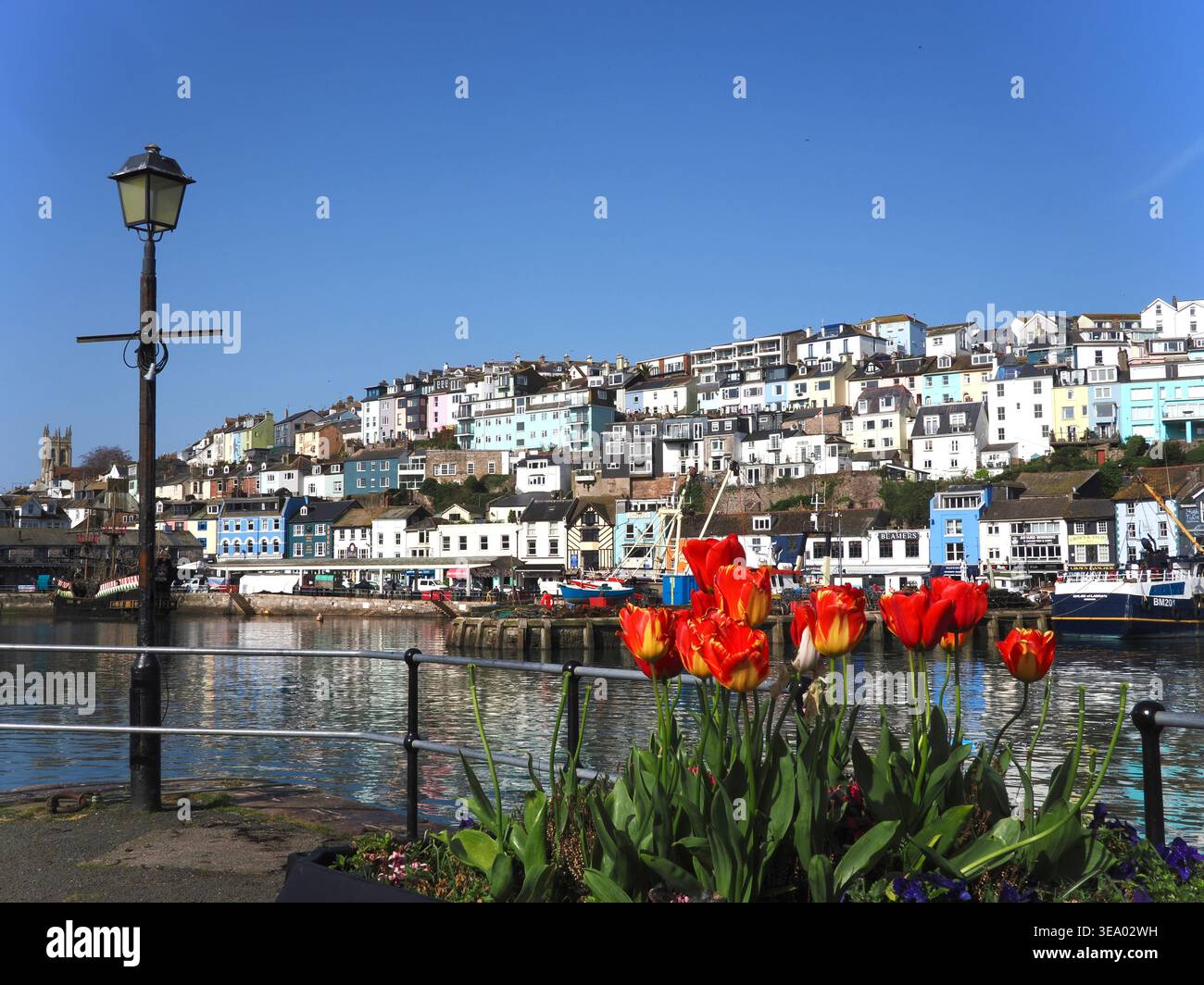 La pittoresque ville balnéaire de Brixham, Devon au printemps Banque D'Images