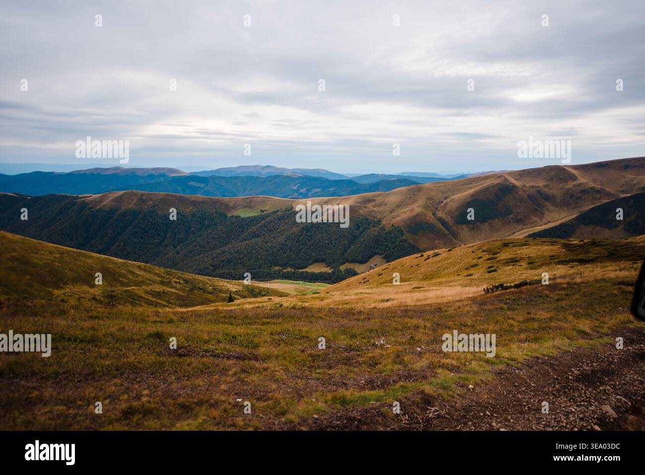 Chaîne de montagnes des Carpates roulantes sous un ciel nuageux en automne Banque D'Images