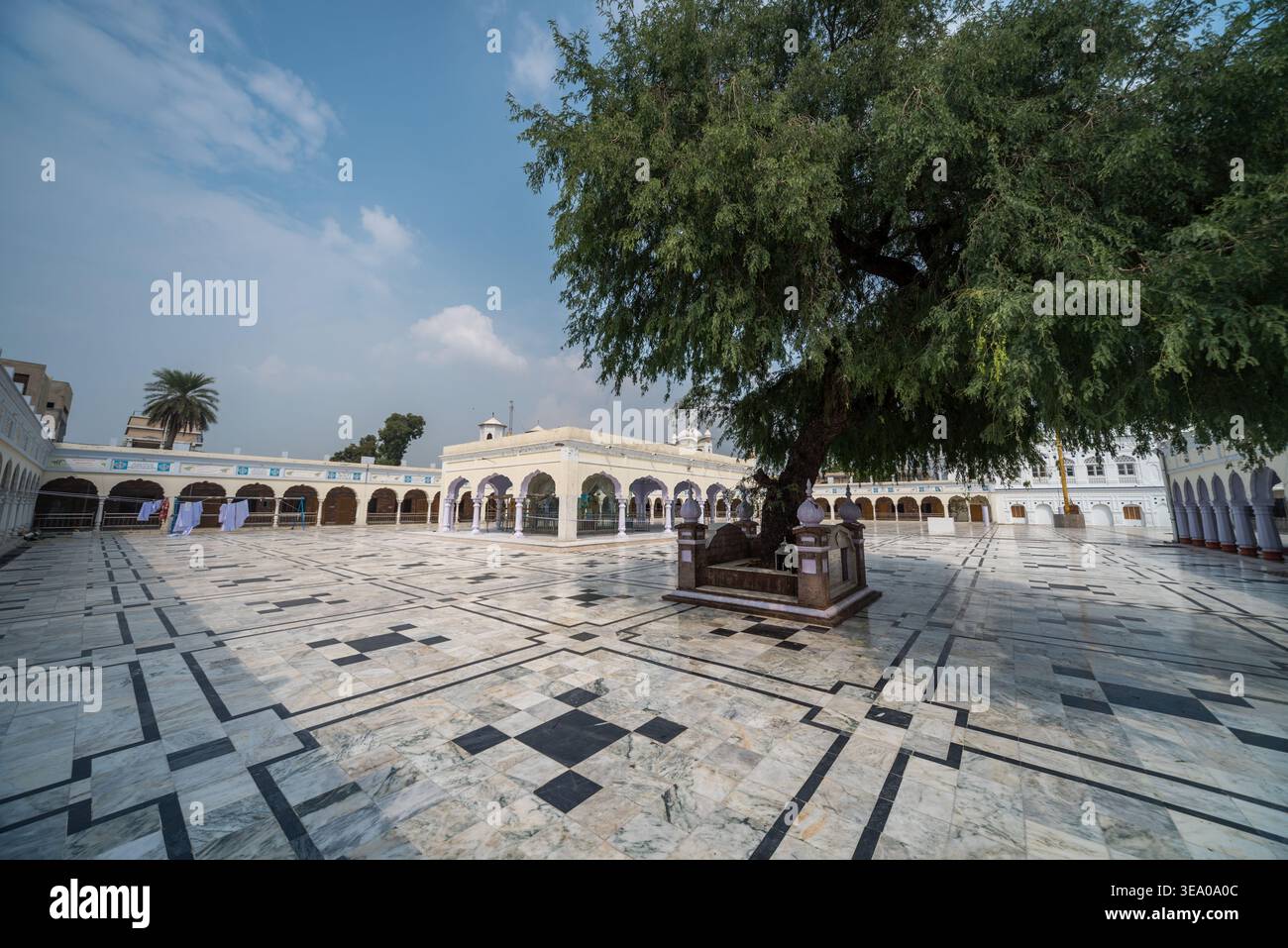 Vue sur une cour en marbre avec des motifs géométriques, un grand arbre, et un bâtiment blanc avec des arches, baigné de lumière douce, Nankana Sahib, Punjab, Pakis Banque D'Images