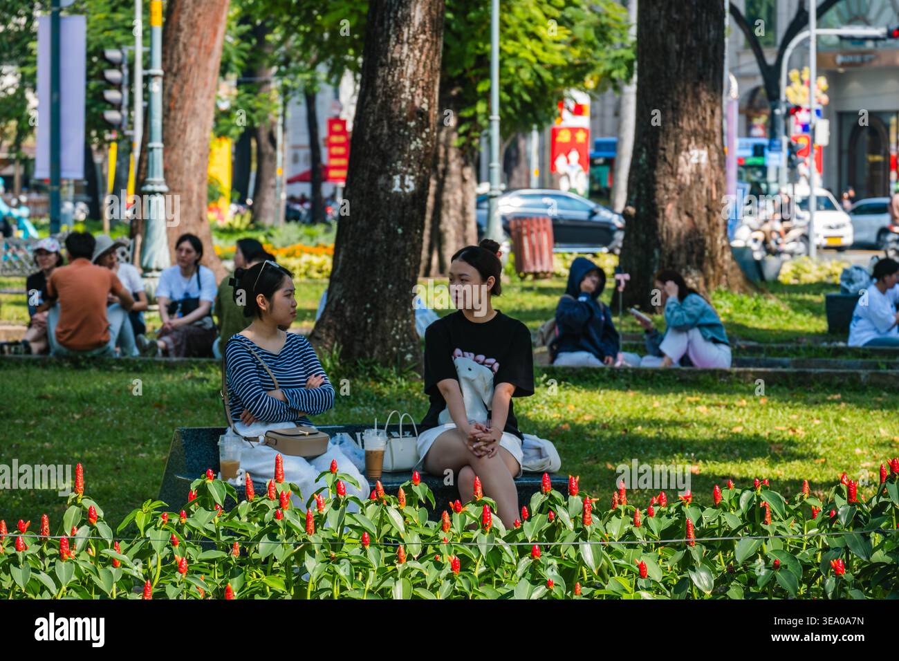 Amis se relaxant sur un banc dans un parc public Banque D'Images
