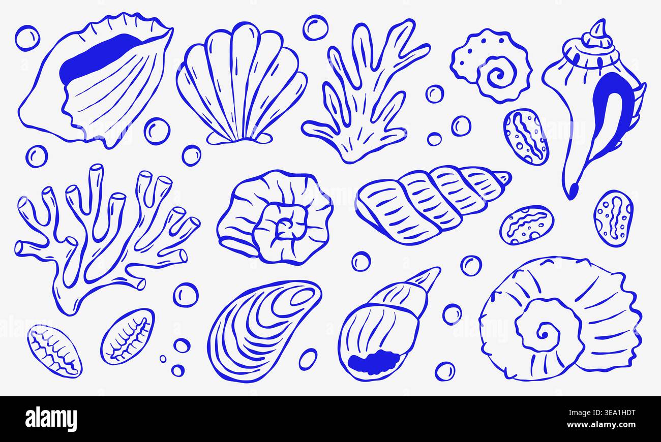 Contour bleu dessiné à la main de coquillages océaniques et de corail Illustration de Vecteur
