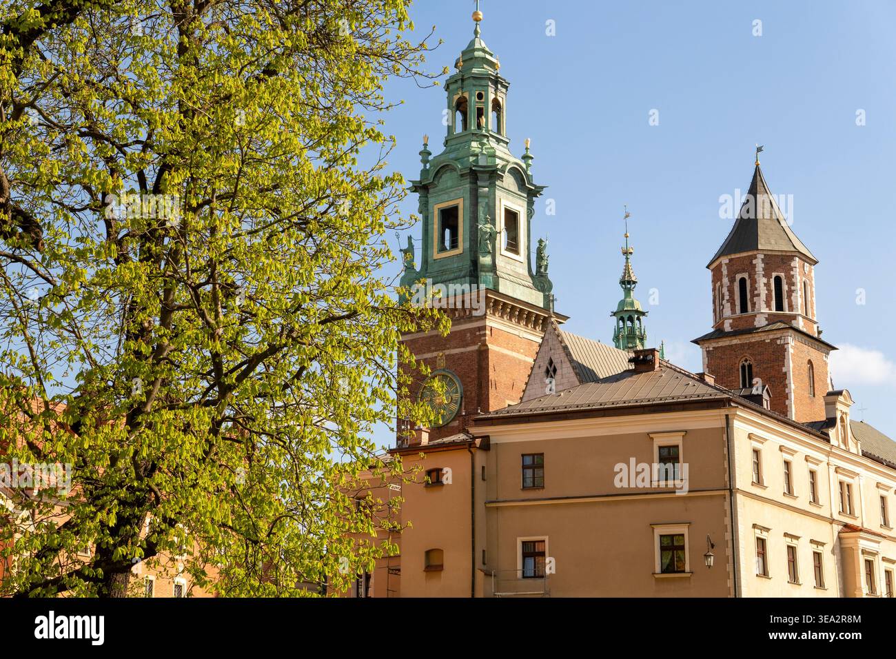 Complexe du château royal de Wawel au printemps à CracoLe site le plus important historiquement et culturellement en Pologne. Cracovie, Pologne Banque D'Images