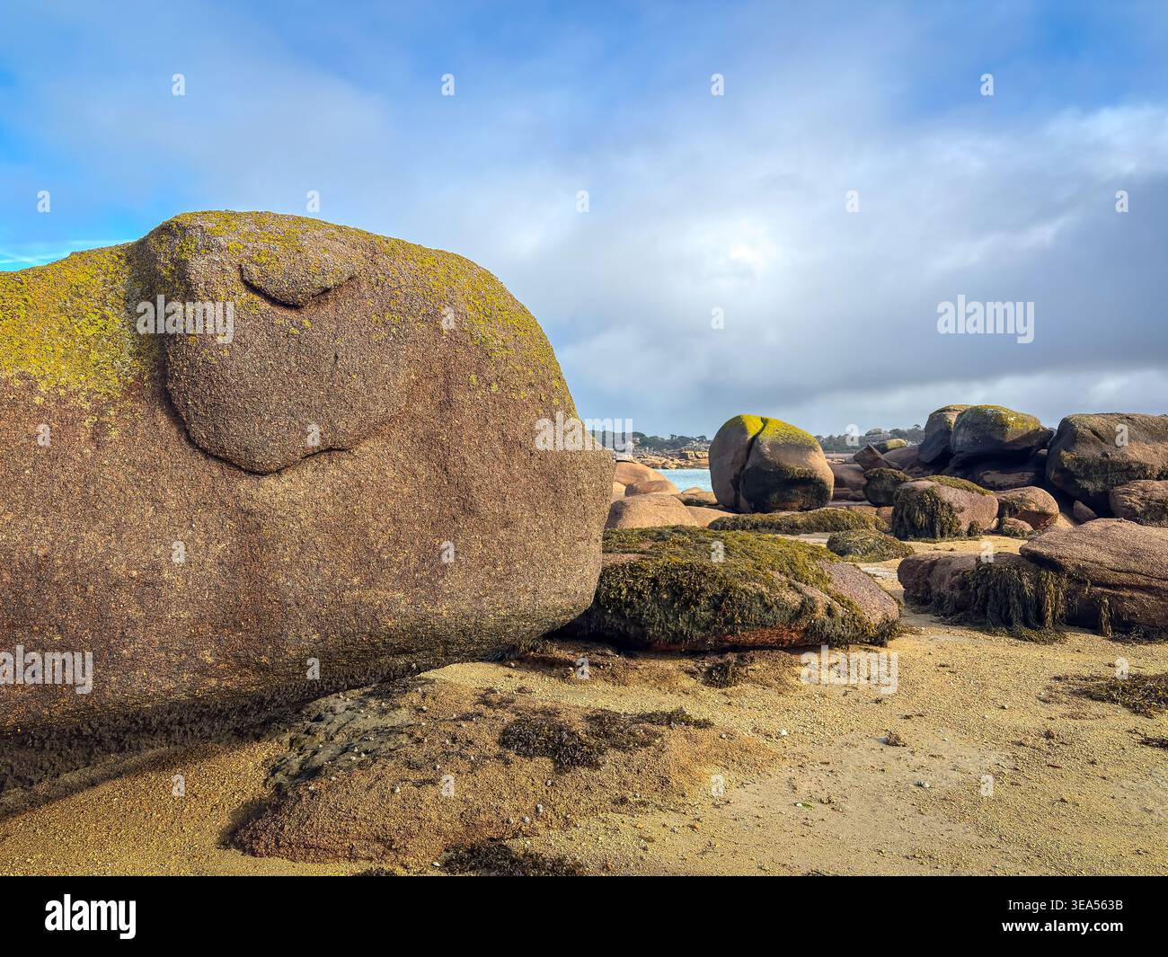 De grands rochers de granit recouverts de mousse verte dominent le rivage sablonneux de Tregastel sur la Côte de granit rose en Bretagne France sous la lumière changeante Banque D'Images