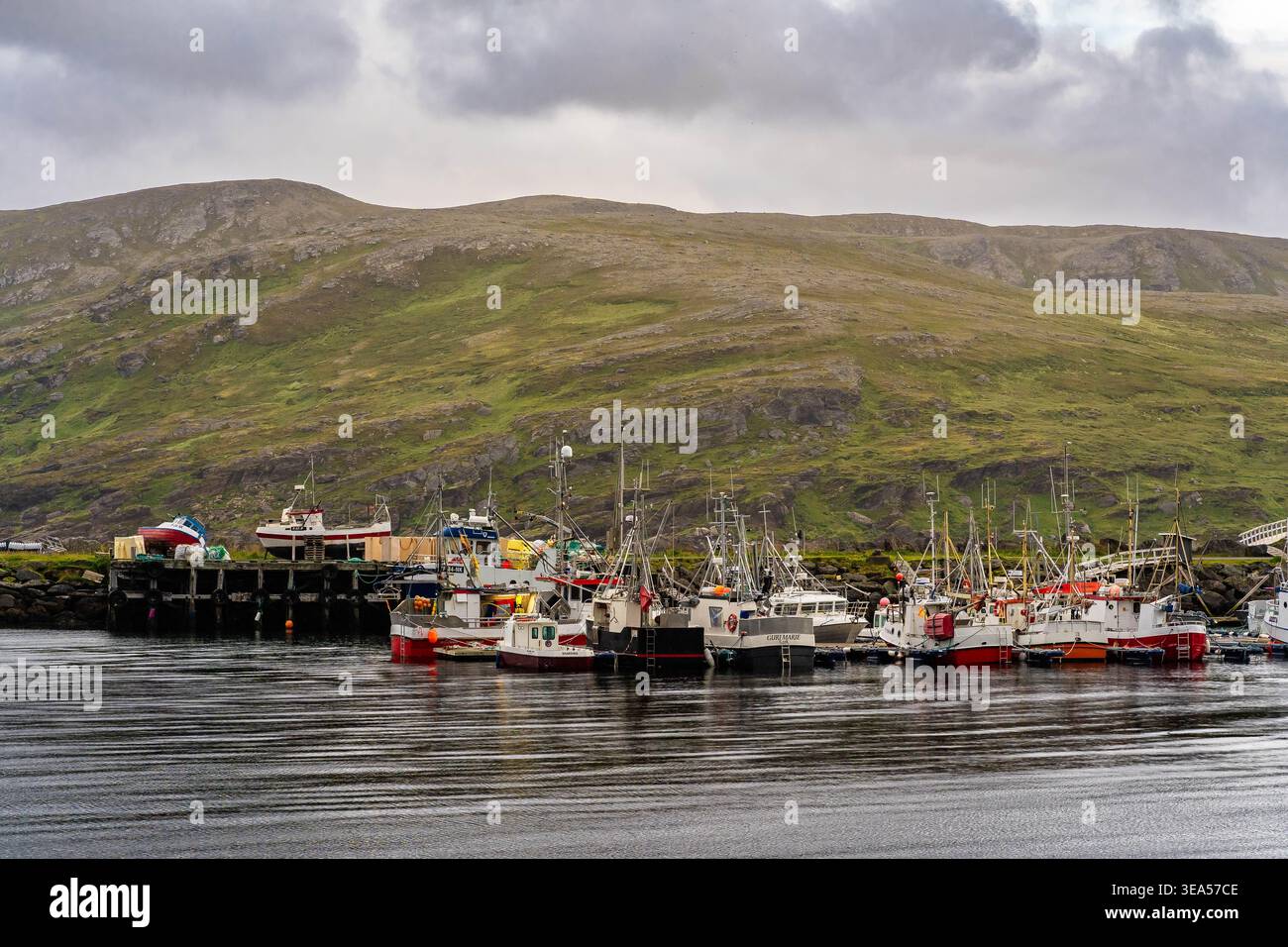 Flotte de pêche à Skarsvåg sur l'île de Magerøya près de Nordkapp, Finnmark, Norvège Banque D'Images