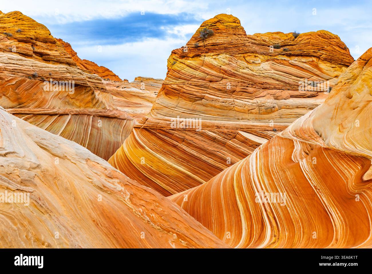 Vue détaillée de la formation de vagues de grès rayées emblématiques à Coyote Buttes North Arizona Banque D'Images