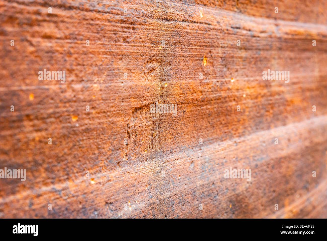 Ancien pétroglyphe de mouton de Bighorn sculpté dans un mur de roche rouge le long de Wire Pass Trail jusqu'à Buckskin Gulch en Arizona Banque D'Images