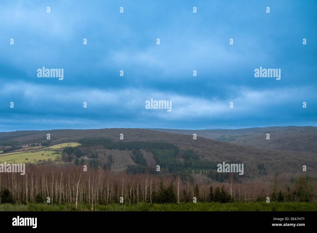 collines dans les ardennes Banque D'Images