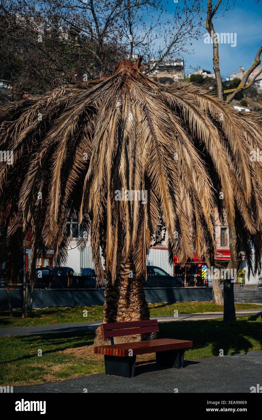 Scène hivernale silencieuse. Promenade lointaine sous ciel bleu légèrement illuminé avec des empreintes de pas Banque D'Images