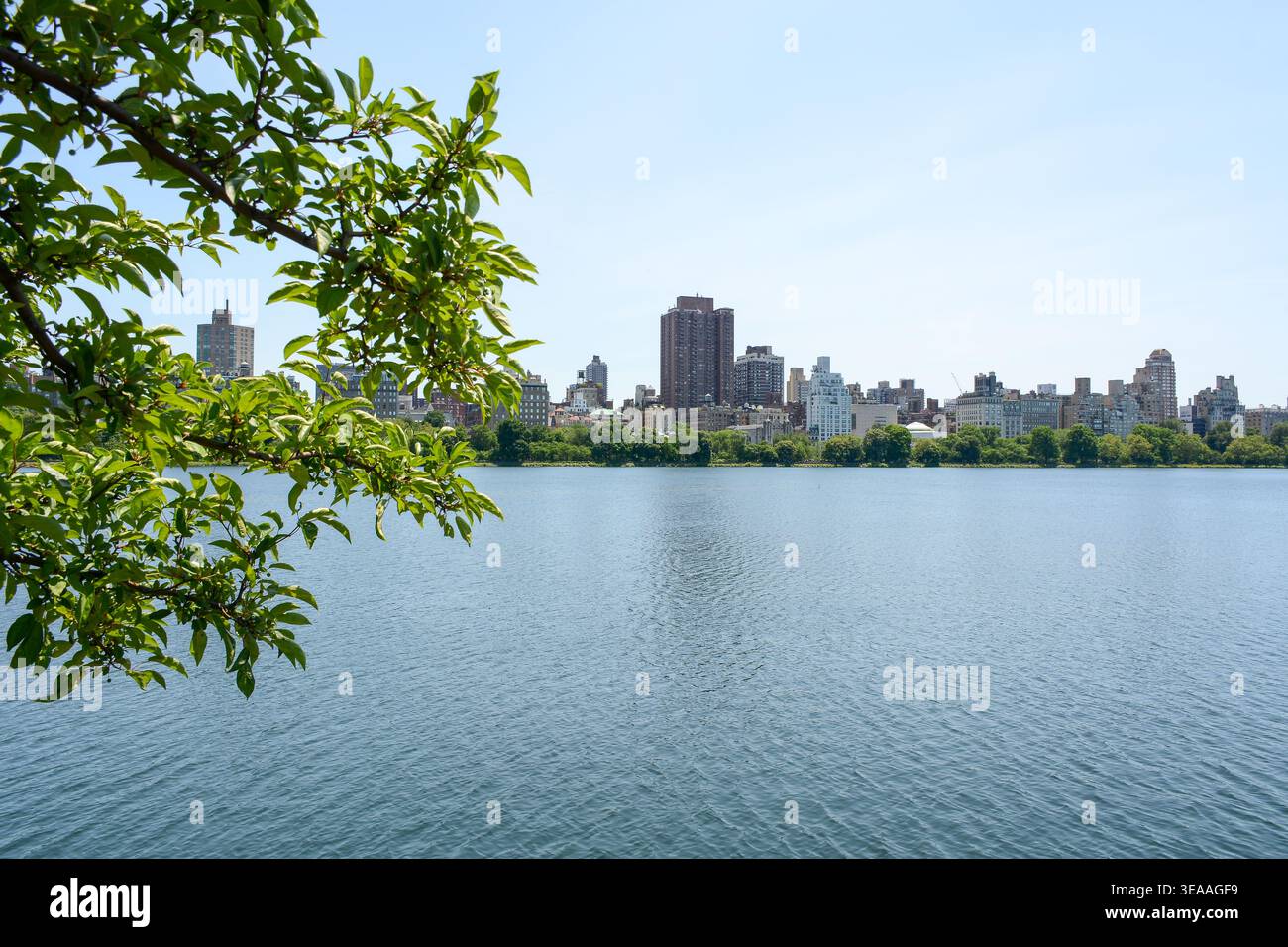 New York, NY, États-Unis - 5 juin 2019 : le plus grand parc Central Park de la ville de New York Banque D'Images