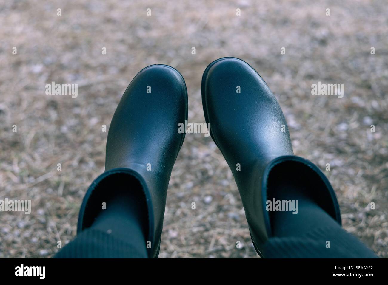 Une perspective à la première personne regardant vers le bas des bottes de pluie en caoutchouc vert foncé debout sur une surface extérieure boueuse. Une photo de mode épurée évoquant la vie en extérieur à la campagne. Banque D'Images