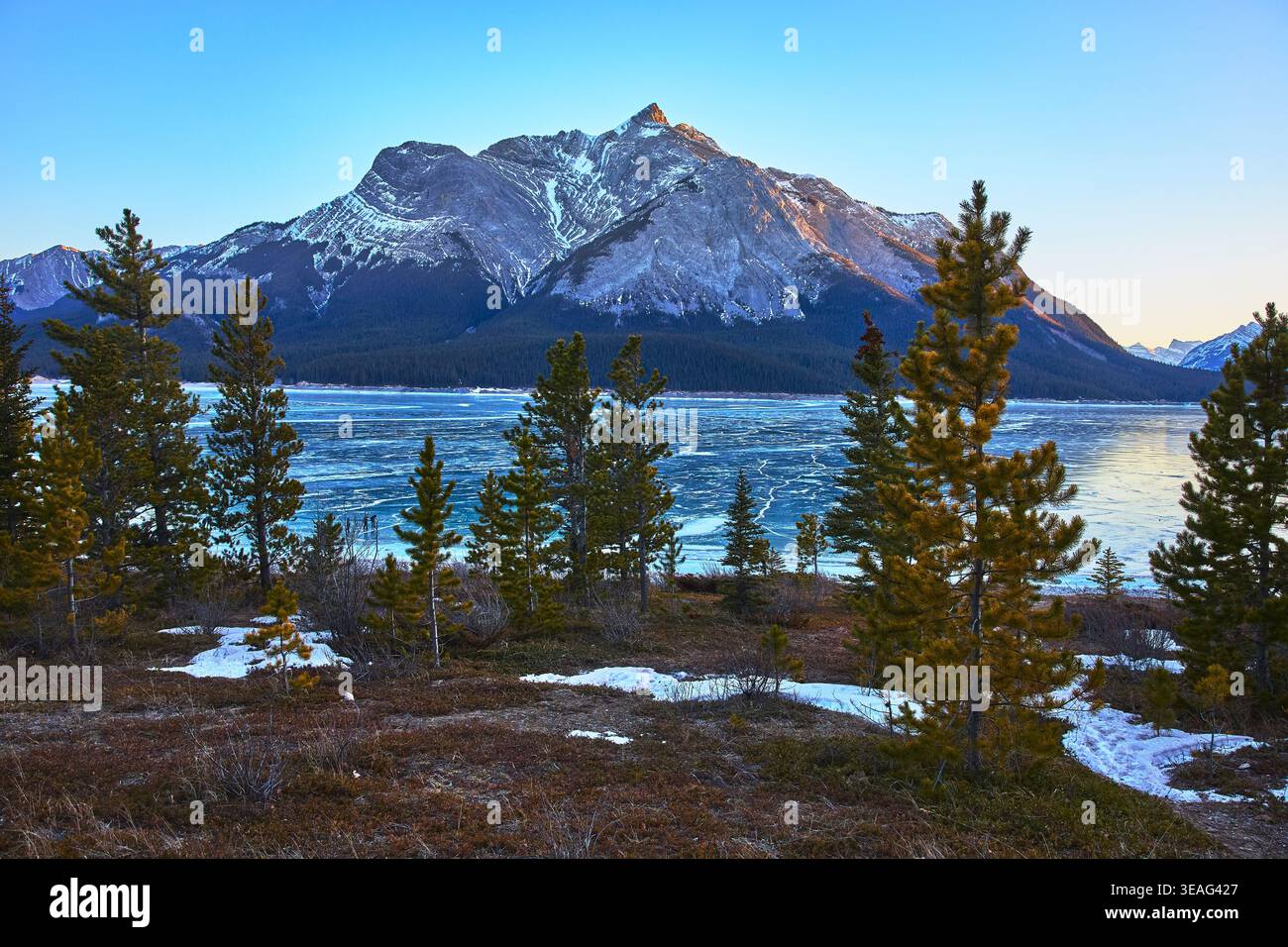 Pins de lac gelés et montagnes enneigées en paysage hivernal Banque D'Images