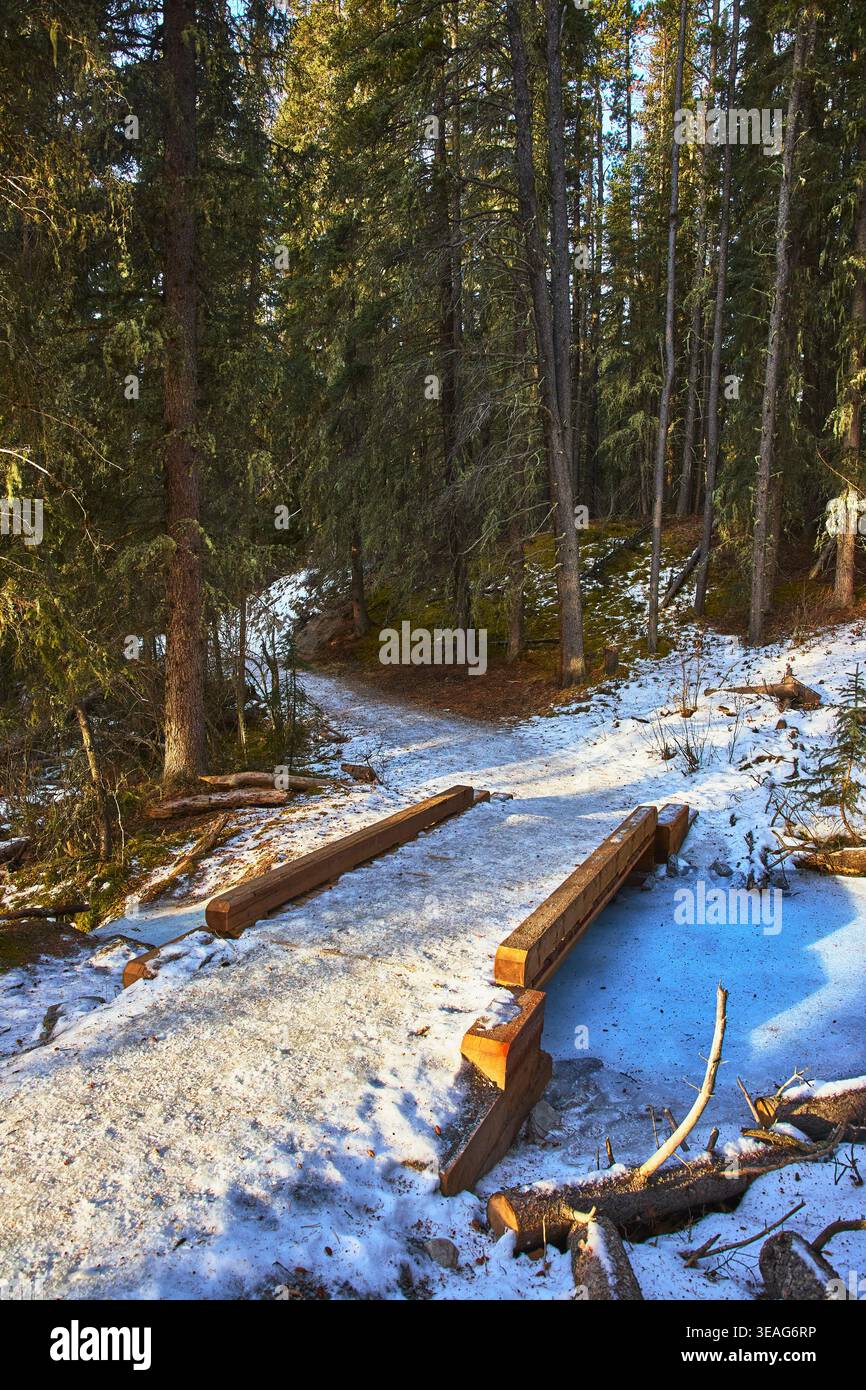 Winter Forest Trail passerelle en bois et Frozen Stream dans la nature ensoleillée Banque D'Images