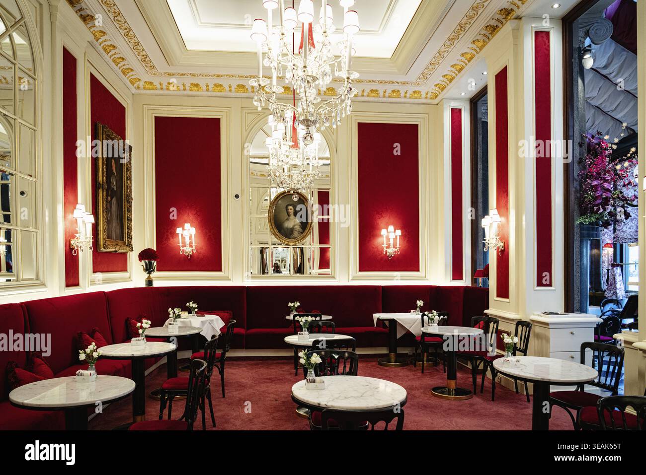Café Sacher, intérieur, culture du café à Vienne, Autriche Banque D'Images